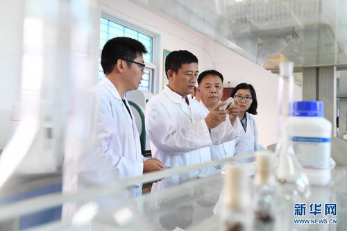 走進田間地頭 科技特派員在福建南平的成長之路